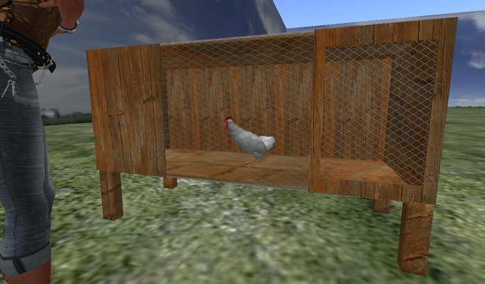 Outdoor cage for chicken or bunnies