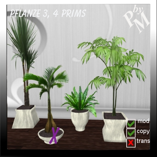 Palm Plant 3