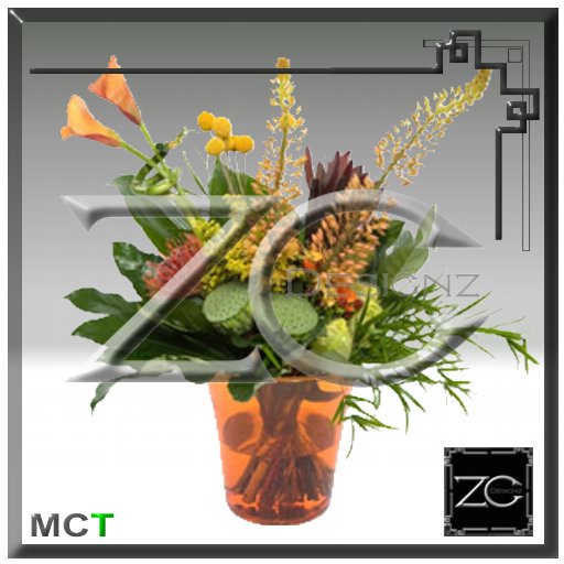 ZC Flowers - Exclusiv Tropical