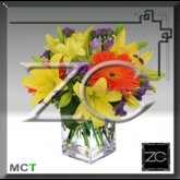 ZC Flowers - Joy of Giving