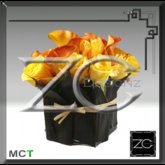 ZC Flowers - The Black & The Beauty