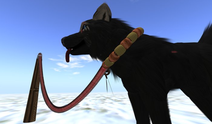 Twi Collar Braided With leash(box)