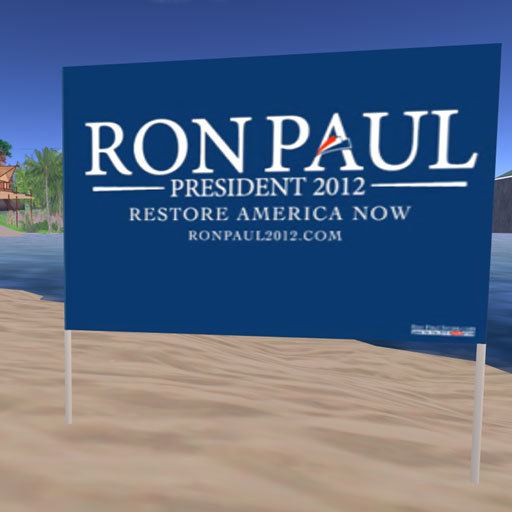 Paul 2012 Yard Sign