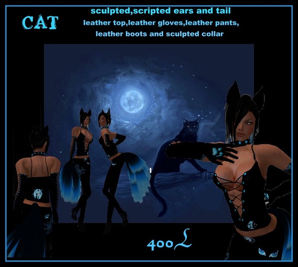 cat outfit