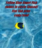 Yellow Angel Fish swims in a circle TGA ((boxed)