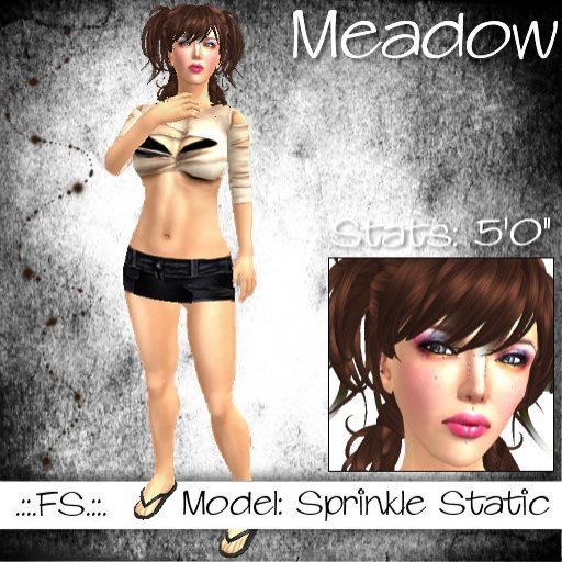 .::.FS.::. Meadow C/M/NT