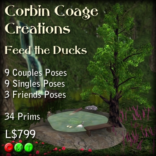Feed The Ducks