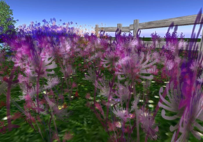 PURPLE BLOOMS *OTM*