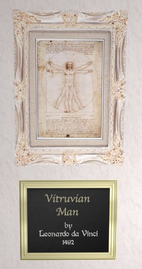 ( D&R Designs Artwork ) Vitruvian Man (CM)