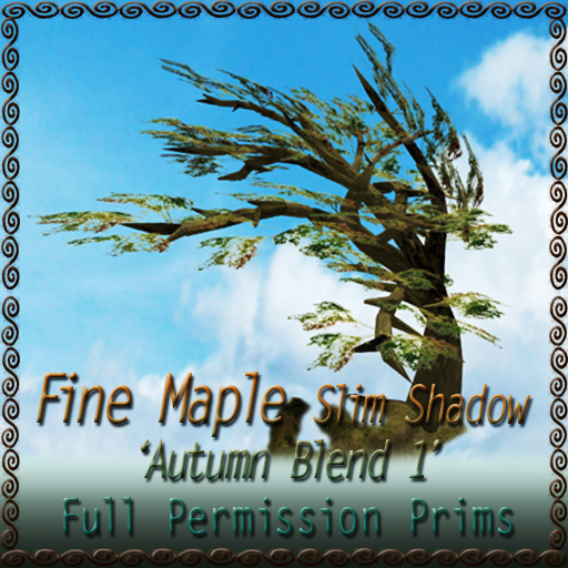 Fine Maple 'Slim Shadow' Autumn Blend 1