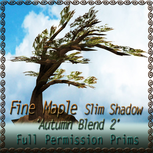 Fine Maple 'Slim Shadow' Autumn Blend 2