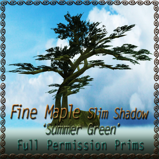 Fine Maple 'Slim Shadow' Summer Green