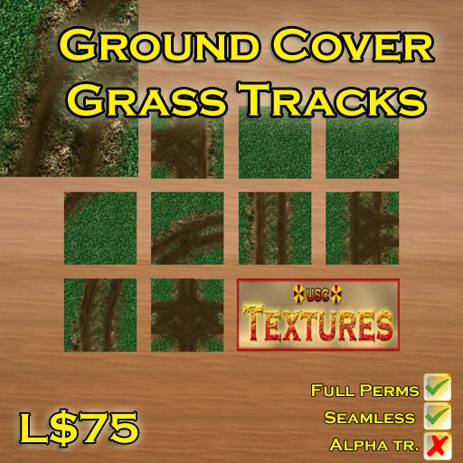USC Textures - Ground Cover - Grass Tracks 