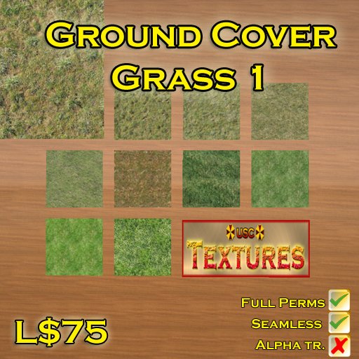 USC Textures - Ground Cover: Grass 1 