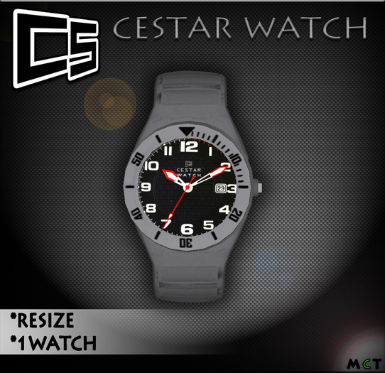 CESTAR WATCH "RELOGIO" GREYonly