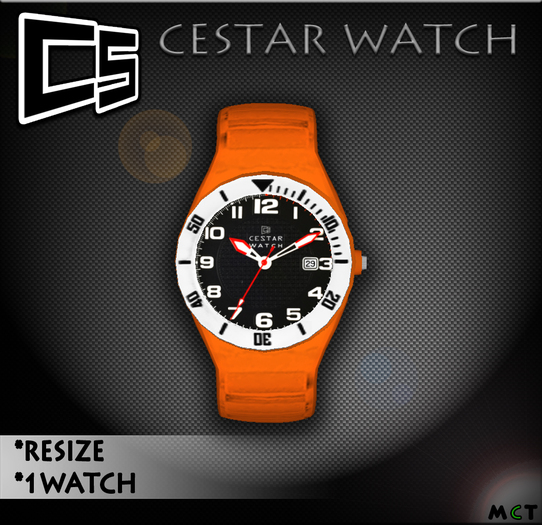 CESTAR WATCH "RELOGIO" Orange/white