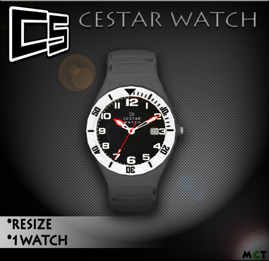 CESTAR WATCH "RELOGIO" grey white
