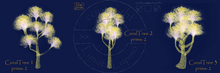 Coral Tree 5 - Koralle Baum 5 (Art Deco) - 3 Variations of Coral Trees - Green Pink