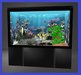 Aquarium%203