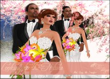 {Ms. B. Designs} Looking to the Future