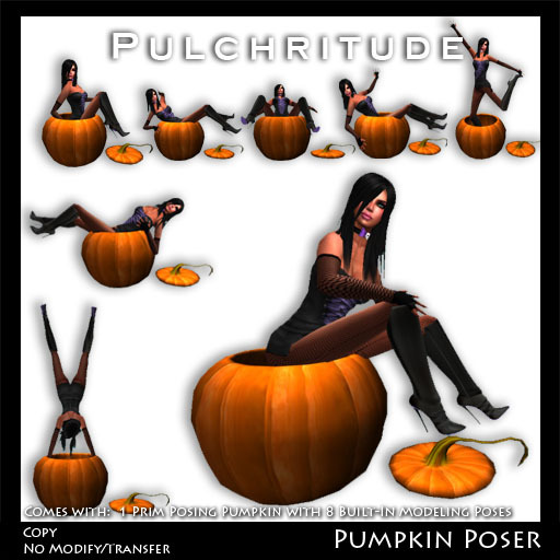 Pulchritude - Pumpkin Poser
