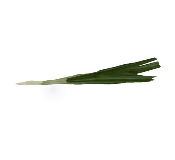 Scallion Sculpted vegetable