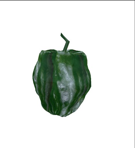 Green pepper　piiman  Vegetable Sculpted Prim