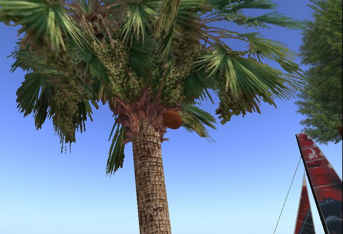 Boxed Coconut Rezzer