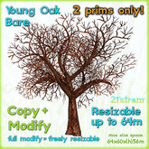 Young Oak BARE - 2 prim fully sculpted tree, copy, full modify, resizable up to 64m