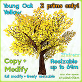 Young Oak YELLOW - 2 prim fully sculpted tree, copy, full modify, resizable up to 64m
