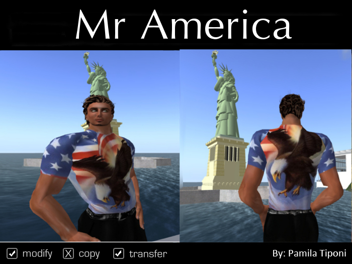 Mr America Shirt (Eagle)  4th of July 2013