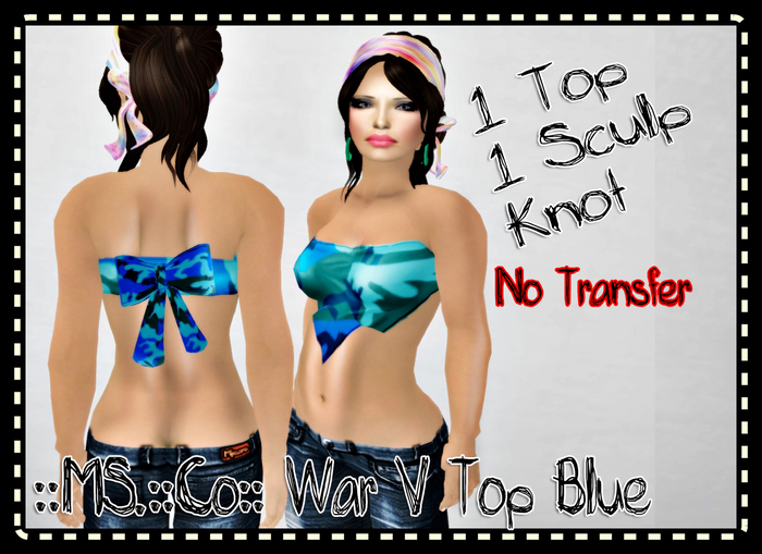 ::MS::Co:: War V Top Blue Box