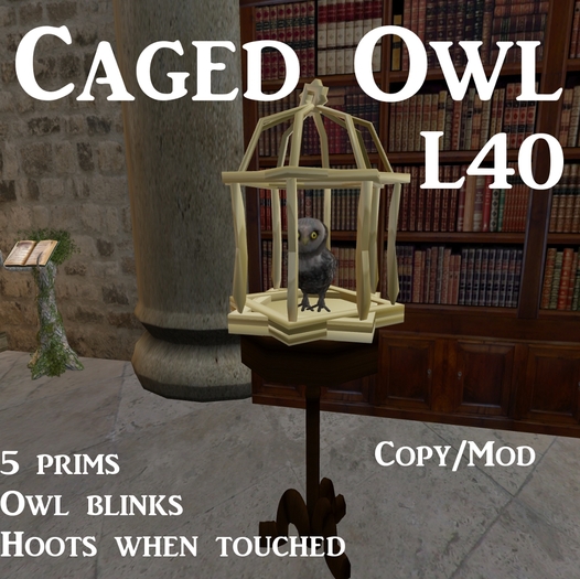 Caged Owl