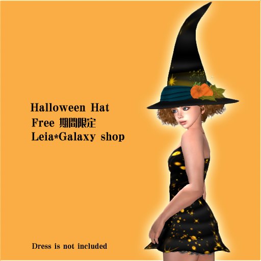 2011HalloweenHat02(box)