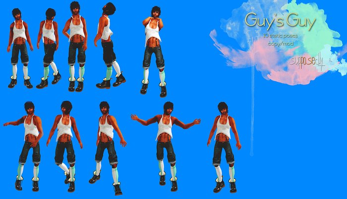 supPOSEdly-guy's guy