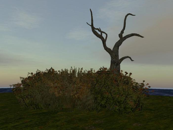Eternal Brambles with Dead Tree (One of my series of Vampire and Dark Arts Trees)