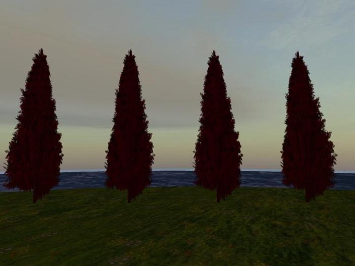 Eternal Row of Four Trees: Blood (One of my series of Vampire and Dark Arts Trees)