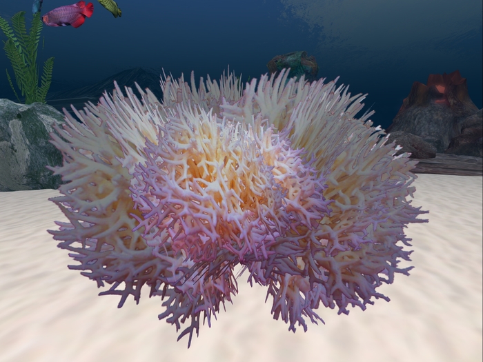 Pink coral, one prim, boxed.