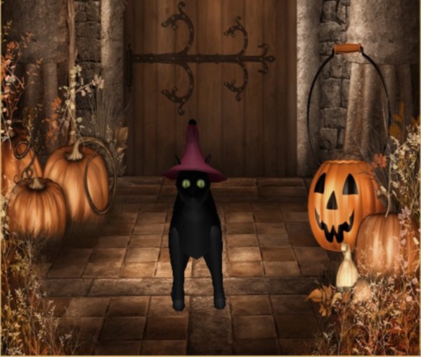 Halloween Cat in a Hat (Red)