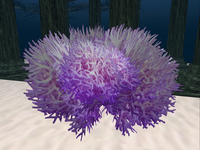 Purple coral, one prim, boxed.