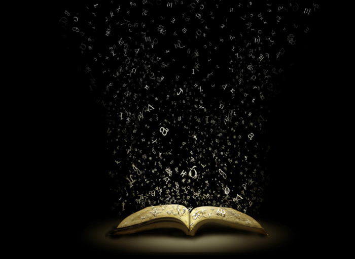 neon wisdom book