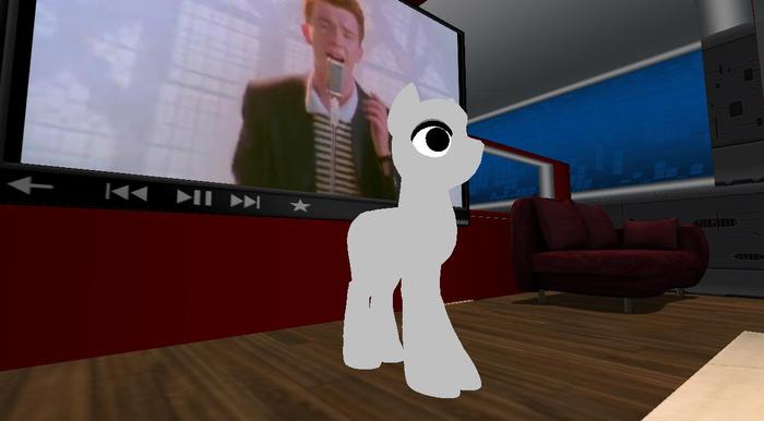 V1 Ponyquin (LowPrim)