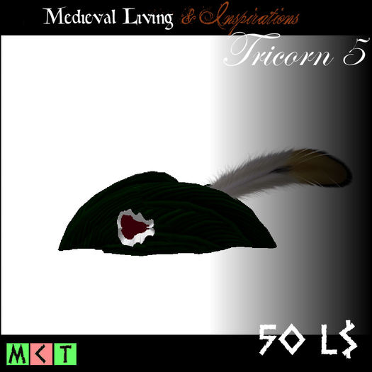 Tricorn Hat 5