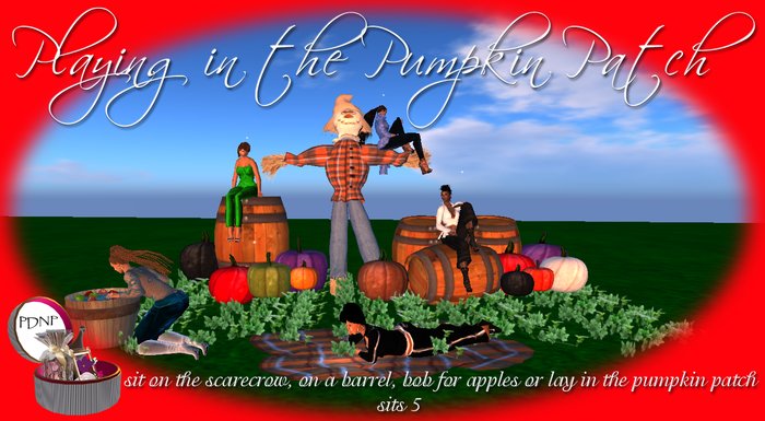 PDN: PLAYING IN THE PUMPKIN PATCH BOXED