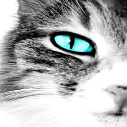 Eminem Love The Way You Lie Gesture