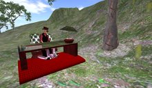 Wingsong Executive Suite Ride Box