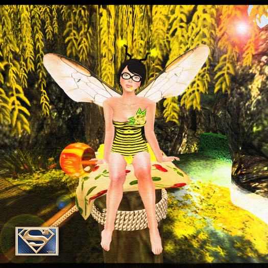 Suddenly Desing - Honeybee Dress Box