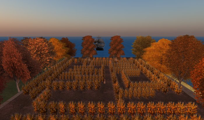 Outdoor Dry Cornfield Maze