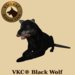 Vkc black wolf marketplace advert 03