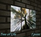 The%20tree%20of%20life%20canvas 001